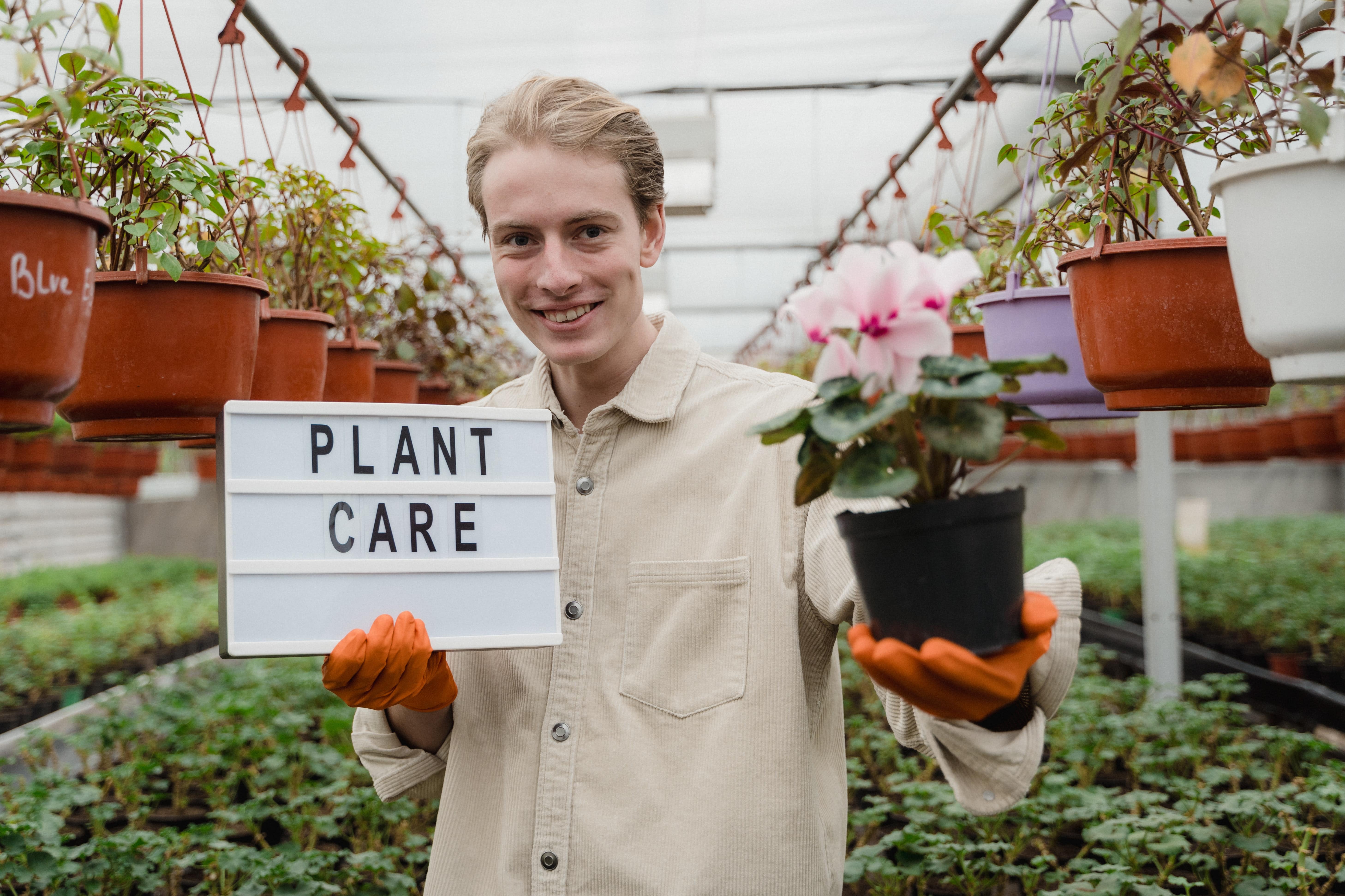 Plant Care Image